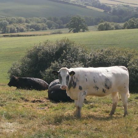 Harepath Farm Cottages 1 Exeter Dış mekan fotoğraf