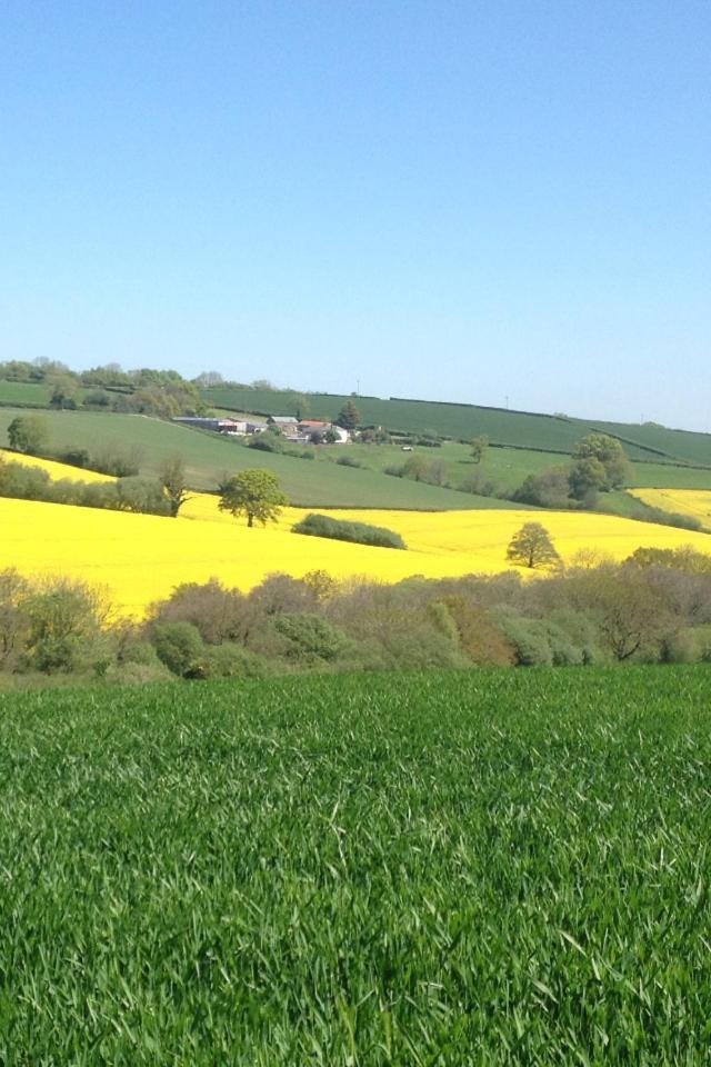 Harepath Farm Cottages 1 Exeter Dış mekan fotoğraf