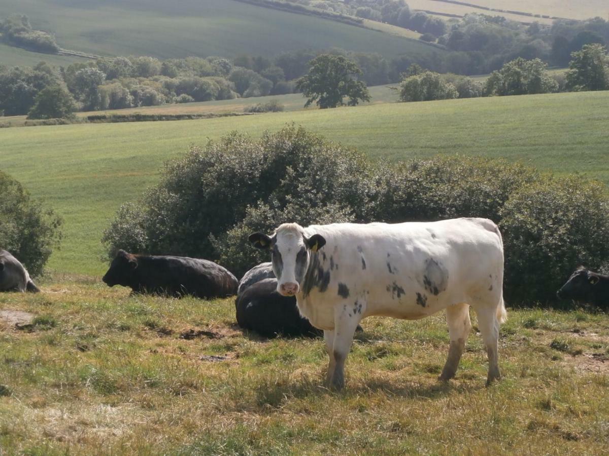 Harepath Farm Cottages 1 Exeter Dış mekan fotoğraf